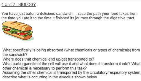 4. Unit 2 - BIOLOGY
You have just eaten a delicious sandwich. Trace the path your food takes from
the time you ate it to the time it finished its journey through the digestive tract.
What specifically is being absorbed (what chemicals or types of chemicals) from
the sandwich?
Where does that chemical end up/get transported to?
What part/organelle of the cell will use it and what does it transform it into? What
other chemical is necessary to perform this task?
Assuming the other chemical is transported by the circulatory/respiratory system,
describe what is occurring in the alveolus shown below.