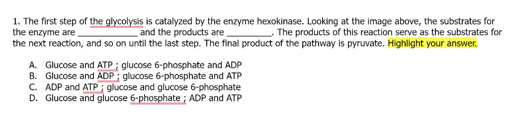 1. The first step of the glycolysis is catalyzed by the enzyme hexokinase. Looking at the image above, the substrates for
the enzyme are
and the products are
The products of this reaction serve as the substrates for
the next reaction, and so on until the last step. The final product of the pathway is pyruvate. Highlight your answer.
A. Glucose and ATP; glucose 6-phosphate and ADP
B. Glucose and ADP; glucose 6-phosphate and ATP
C. ADP and ATP; glucose and glucose 6-phosphate
D. Glucose and glucose 6-phosphate ; ADP and ATP