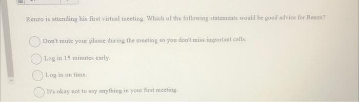 Renzo is attending his first virtual meeting. Which of the following statements would be good advice for Renzo?
Don't mute your phone during the meeting so you don't miss important calls.
Log in 15 minutes early.
Log in on time.
It's okay not to say anything in your first meeting.