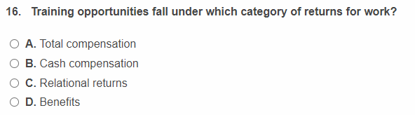 16. Training opportunities fall under which category of returns for work?
O A. Total compensation
O B. Cash compensation
C. Relational returns
D. Benefits