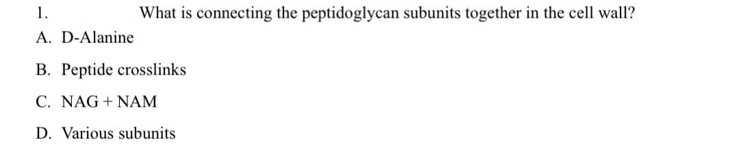 1.
What is connecting the peptidoglycan subunits together in the cell wall?
A. D-Alanine
B. Peptide crosslinks
C. NAG + NAM
D. Various subunits
