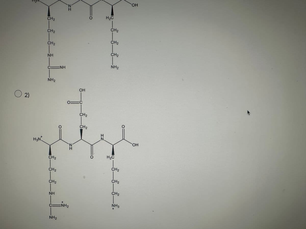 0 2)
H3N
€—_—_—__——_².
CH₂
NH
C=NH
NH₂
CH₂
CH₂
CH₂
NH
ZH
NH₂
N
CINH₂
01C
OH
ZH
CH₂
CH₂
IZ
H₂C
CH₂
CH₂
CH₂
NH₂
H₂C
CH₂
CH₂
CH₂
NH3
O
OH
OH
3