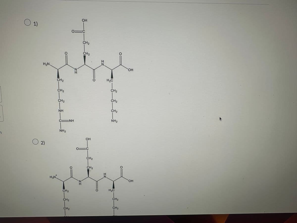 n
○ 1)
H₂N.
0 2)
H₂N
—_—_—_—_—_—_——-
C=NH
NH2₂
CH₂
CH₂
CH₂
=C
ZH
0=
OH
ZH
CH₂
CH₂
OH
CH2
CH₂
ZH
IZ
H₂C
CH₂
CH₂
CH₂
NH₂
H₂C
CH₂
CH₂
O
OH
OH