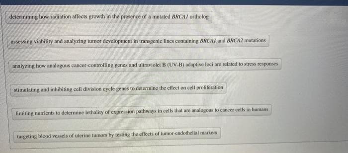 determining how radiation affects growth in the presence of a mutated BRCAI ortholog
assessing viability and analyzing tumor development in transgenic lines containing BRCAI and BRCA2 mutations
analyzing how analogous cancer-controlling genes and ultraviolet B (UV-B) adaptive loci are related to stress responses
stimulating and inhibiting cell division cycle genes to determine the effect on cell proliferation
limiting nutrients to determine lethality of expression pathways in cells that are analogous to cancer cells in humans
targeting blood vessels of uterine tumors by testing the effects of tumor-endothelial markers
