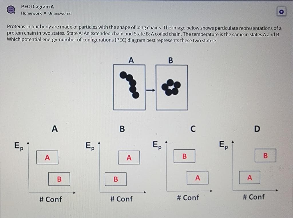 PEC Diagram A
Homework Unanswered
Proteins in our body are made of particles with the shape of long chains. The image below shows particulate representations of a
protein chain in two states. State A: An extended chain and State B: A coiled chain. The temperature is the same in states A and B.
Which potential energy-number of configurations (PEC) diagram best represents these two states?
Ep
A
A
B
# Conf
Ep
B
B
A
A
# Conf
ui
B
B
C
A
# Conf
Ep
A
D
B
# Conf