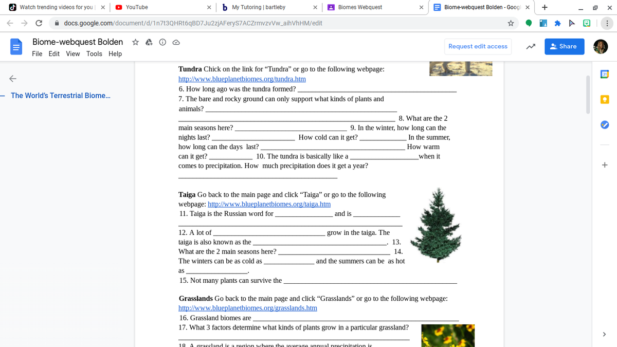 O Watch trending videos for you
D YouTube
b My Tutoring | bartleby
A Biomes Webquest
A Biome-webquest Bolden - Googl x
A docs.google.com/document/d/1n7t3QHRt6qBD7Ju2zjAFeryS7ACZrmvzvVw_aihVhHM/edit
Biome-webquest Bolden * A O O
Request edit access
Share
File Edit View Tools Help
Tundra Chick on the link for "Tundra" or go to the following webpage:
http://www.blueplanetbiomes.org/tundra.htm
6. How long ago was the tundra formed?
7. The bare and rocky ground can only support what kinds of plants and
- The World's Terrestrial Biome..
animals?
8. What are the 2
main seasons here?
9. In the winter, how long can the
nights last?
how long can the days last?
can it get?
comes to precipitation. How much precipitation does it get a year?
How cold can it get?
In the summer,
How warm
10. The tundra is basically like a
when it
Taiga Go back to the main page and click "Taiga" or go to the following
webpage: http://www.blueplanetbiomes.org/taiga.htm
11. Taiga is the Russian word for
and is
grow in the taiga. The
13.
12. A lot of
taiga is also known as the
What are the 2 main seasons here?
14.
The winters can be as cold as
and the summers can be as hot
as
15. Not many plants can survive the
Grasslands Go back to the main page and click "Grasslands" or go to the following webpage:
http://www.blueplanetbiomes.org/grasslands.htm
16. Grassland biomes are
17. What 3 factors determine what kinds of plants grow in a particular grassland?
18 A arassland is a region where the averade annual precipitation is
+
