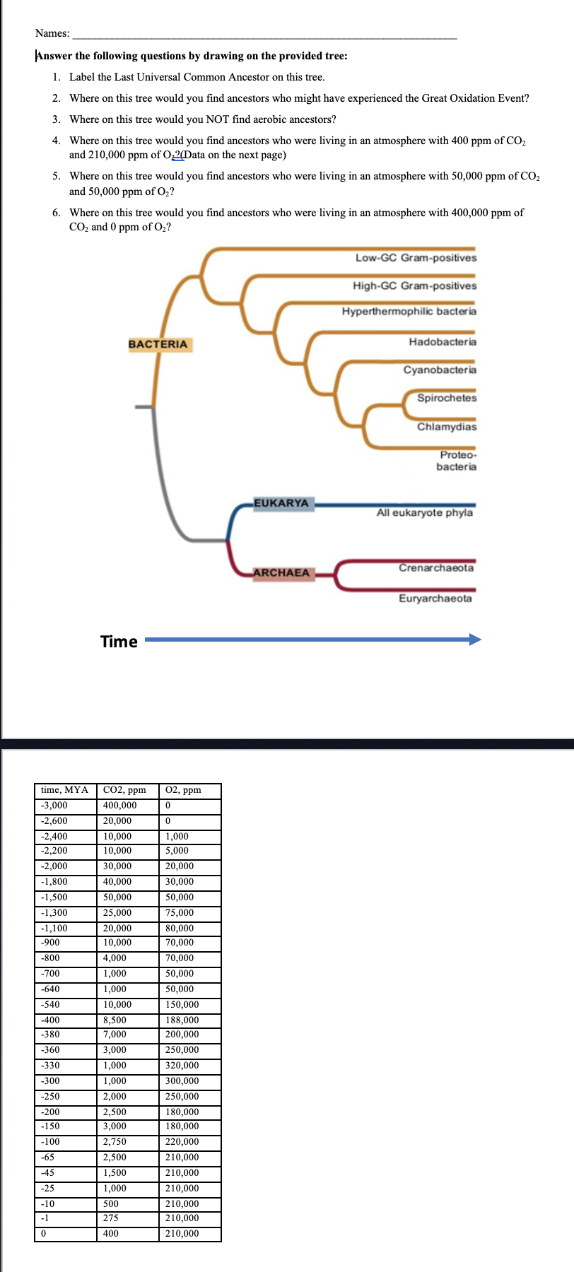 Names:
Answer the following questions by drawing on the provided tree:
1. Label the Last Universal Common Ancestor on this tree.
2. Where on this tree would you find ancestors who might have experienced the Great Oxidation Event?
3. Where on this tree would you NOT find aerobic ancestors?
4. Where on this tree would you find ancestors who were living in an atmosphere with 400 ppm of CO2
and 210,000 ppm of O,2Data on the next page)
5. Where on this tree would you find ancestors who were living in an atmosphere with 50,000 ppm of CO2
and 50,000 ppm of O2?
6. Where on this tree would you find ancestors who were living in an atmosphere with 400,000 ppm of
CO, and 0 ppm of O,?
Low-GC Gram-positives
High-GC Gram-positives
Hyperthermophilic bacteria
BACTERIA
Hadobacteria
Cyanobacteria
Spirochetes
Chlamydias
Proteo-
bacteria
LEUKARYA
All eukaryote phyla
Crenarchaeota
ARCHAEA
Euryarchaeota
Time
time, MYA
CO2, ppm
02, ppm
-3,000
400,000
-2,600
20,000
-2,400
10,000
1,000
-2,200
10,000
5,000
-2,000
30,000
20,000
-1,800
40,000
30,000
|-1,500
50,000
50,000
-1,300
25,000
75,000
-1,100
20,000
80,000
-900
10,000
70,000
-800
4,000
70,000
-700
1,000
50,000
-640
1,000
50,000
-540
10,000
150,000
-400
8,500
188,000
-380
7,000
200,000
-360
3,000
250.000
1,000
1,000
2,000
-330
320,000
-300
300,000
-250
250,000
-200
2,500
180.000
-150
3,000
180,000
-100
2,750
220,000
-65
2,500
210,000
-45
1,500
210,000
-25
1,000
210,000
-10
500
210,000
-1
275
210,000
400
210.000
