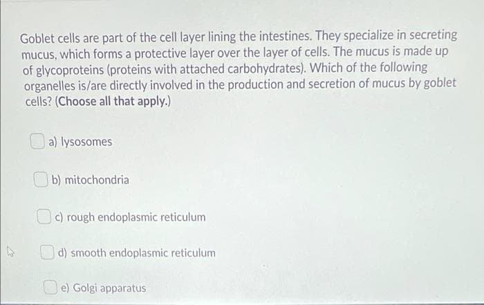 Goblet cells are part of the cell layer lining the intestines. They specialize in secreting
mucus, which forms a protective layer over the layer of cells. The mucus is made up
of glycoproteins (proteins with attached carbohydrates). Which of the following
organelles is/are directly involved in the production and secretion of mucus by goblet
cells? (Choose all that apply.)
a) lysosomes
b) mitochondria
Oc) rough endoplasmic reticulum
Od) smooth endoplasmic reticulum
O e) Golgi apparatus
