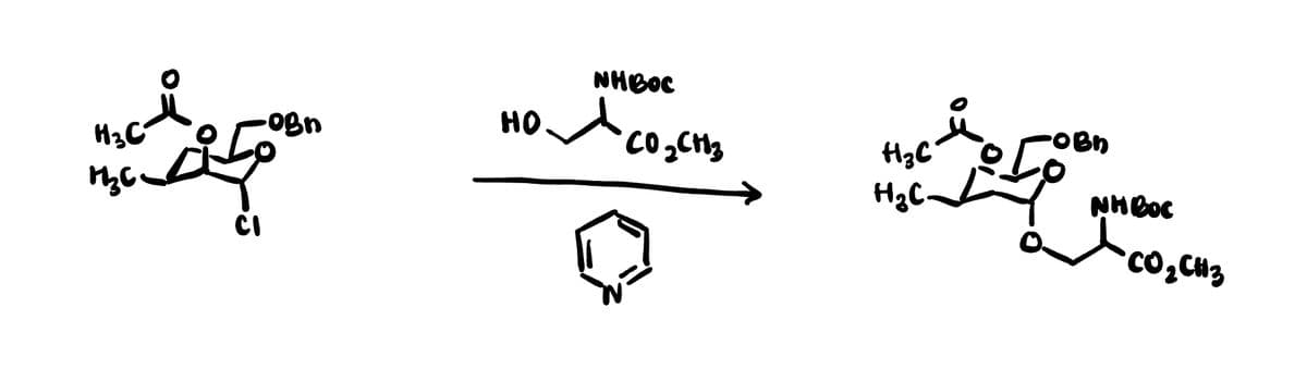 NHBOC
НО.
"CO₂CH3
H₂C
NHOC
поверта и извест
Я созиз
CI
ибо-
чао-