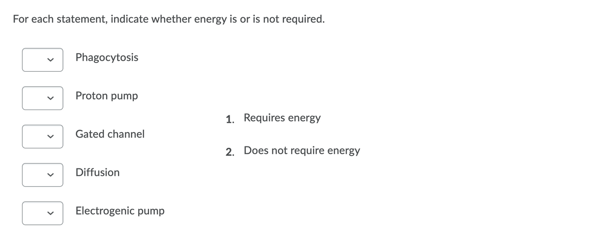 For each statement, indicate whether energy is or is not required.
Phagocytosis
Proton pump
1. Requires energy
Gated channel
2. Does not require energy
Diffusion
Electrogenic pump
>
>
>
