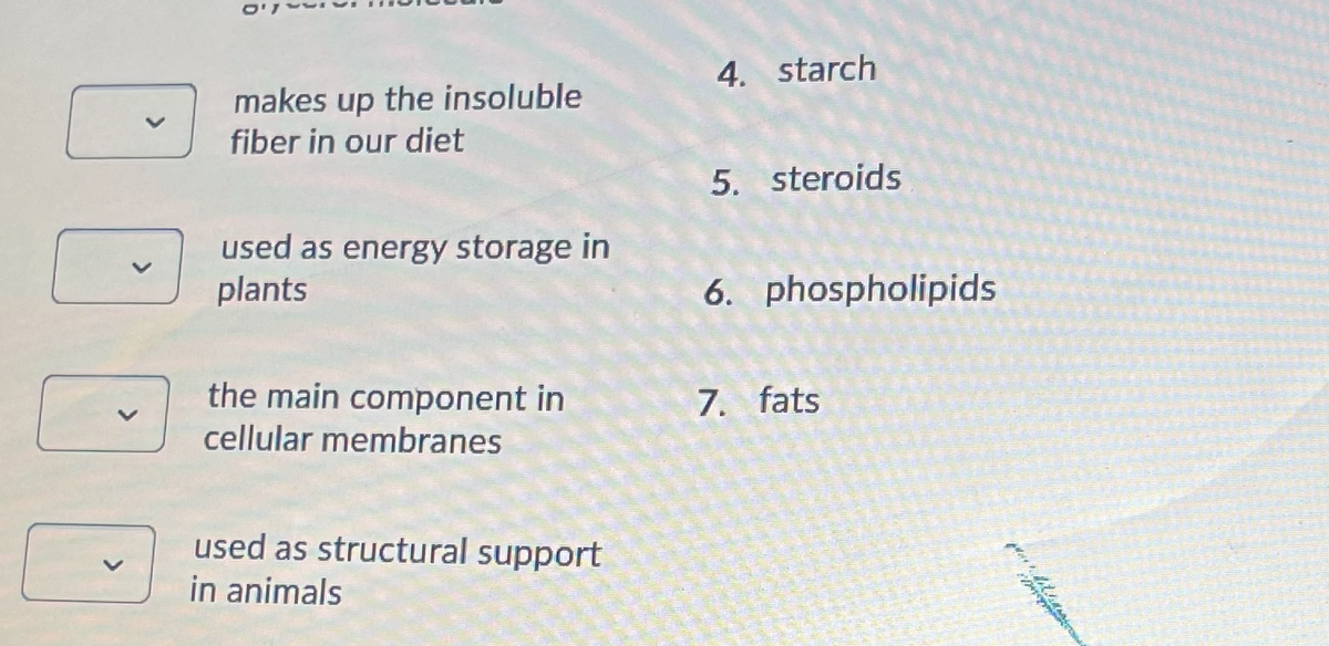 4. starch
makes up the insoluble
fiber in our diet
5. steroids
used as energy storage in
plants
6. phospholipids
the main component in
7. fats
cellular membranes
used as structural support
in animals
