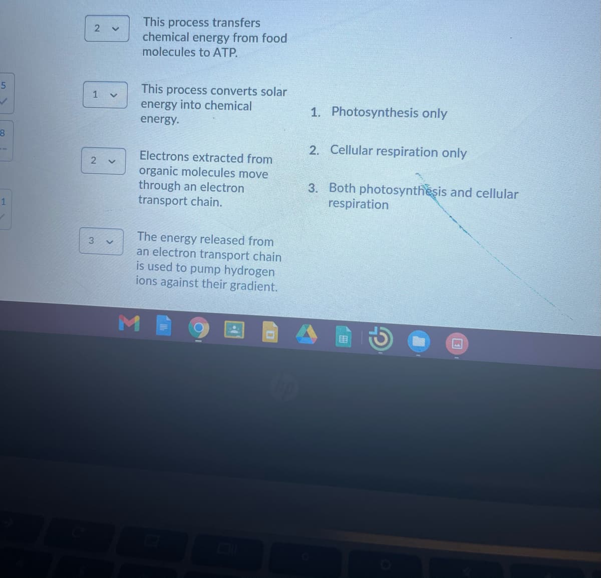 This process transfers
chemical energy from food
molecules to ATP.
2
This process converts solar
energy into chemical
5
1. Photosynthesis only
energy.
2. Cellular respiration only
Electrons extracted from
organic molecules move
through an electron
transport chain.
3. Both photosynthesis and cellular
respiration
1
The energy released from
an electron transport chain
is used to pump hydrogen
ions against their gradient.
3 v
BB
