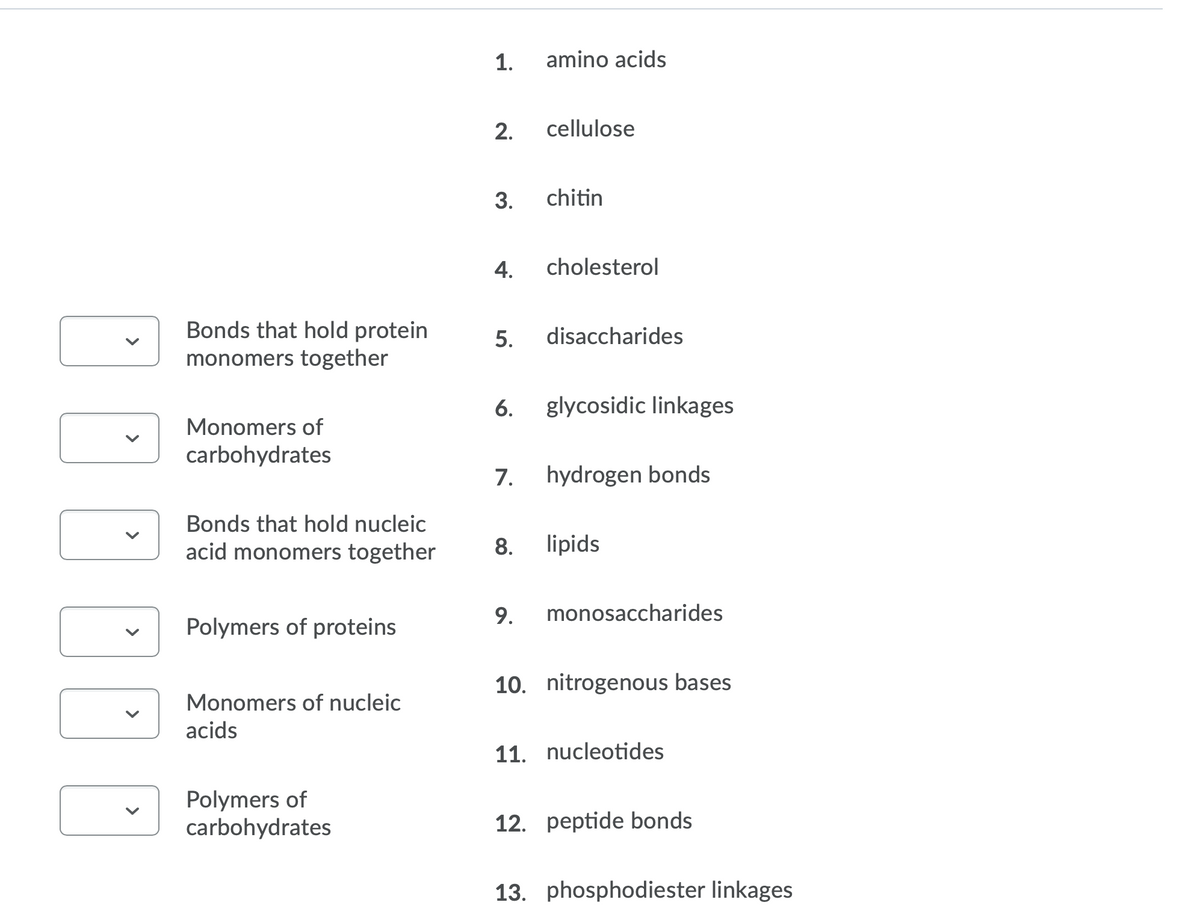 1.
amino acids
2.
cellulose
3.
chitin
4.
cholesterol
Bonds that hold protein
monomers together
5.
disaccharides
6.
glycosidic linkages
Monomers of
carbohydrates
7.
hydrogen bonds
Bonds that hold nucleic
acid monomers together
8.
lipids
9.
monosaccharides
Polymers of proteins
10. nitrogenous bases
Monomers of nucleic
acids
11. nucleotides
Polymers of
carbohydrates
12. peptide bonds
13. phosphodiester linkages
