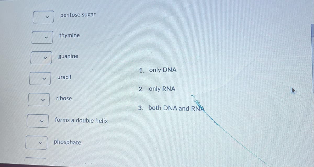 pentose sugar
thymine
guanine
1. only DNA
uracil
2. only RNA
ribose
3. both DNA and RNA
forms a double helix
phosphate
