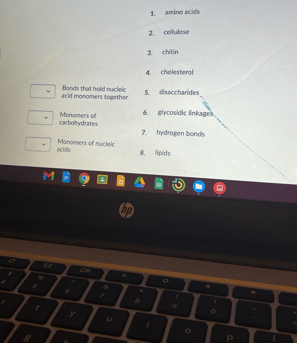 1.
amino acids
2.
cellulose
3.
chitin
4.
cholesterol
Bonds that hold nucleic
acid monomers together
5.
disaccharides
6.
glycosidic linkages
Monomers of
carbohydrates
7.
hydrogen bonds
Monomers of nucleic
acids
8.
lipids
田
hp
Ce
96
5
80
0O
