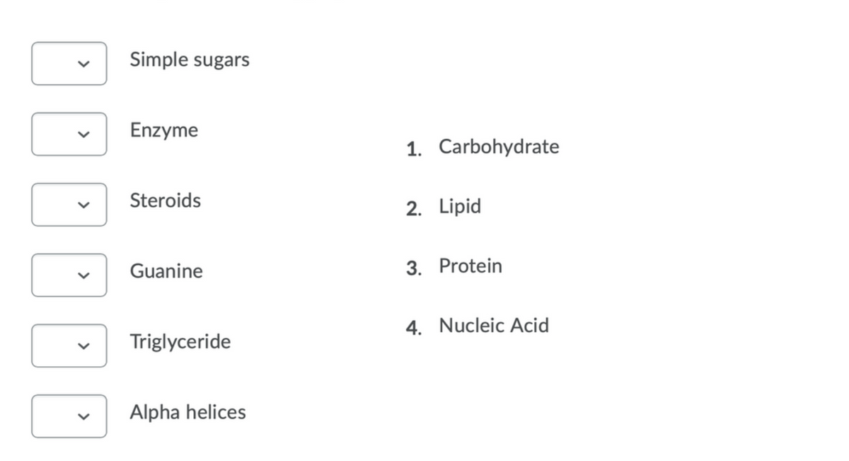 Simple sugars
Enzyme
1. Carbohydrate
Steroids
2. Lipid
Guanine
3. Protein
4. Nucleic Acid
Triglyceride
Alpha helices
>
>
>
>
>
>
