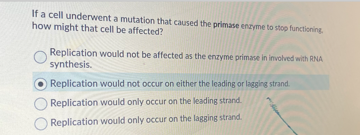 If a cell underwent a mutation that caused the primase enzyme to stop functioning,
how might that cell be affected?
Replication would not be affected as the enzyme primase in involved with RNA
synthesis.
O Replication would not occur on either the leading or lagging strand.
Replication would only occur on the leading strand.
O Replication would only occur on the lagging strand.
