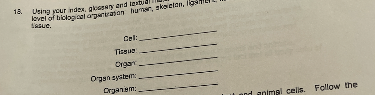 18.
Using your index, glossary and textua
level of biological organization: human, skeleton,
tissue.
Cell:
Tissue:
Organ:
Organ system:
Organism:
ond animal cells. Follow the
