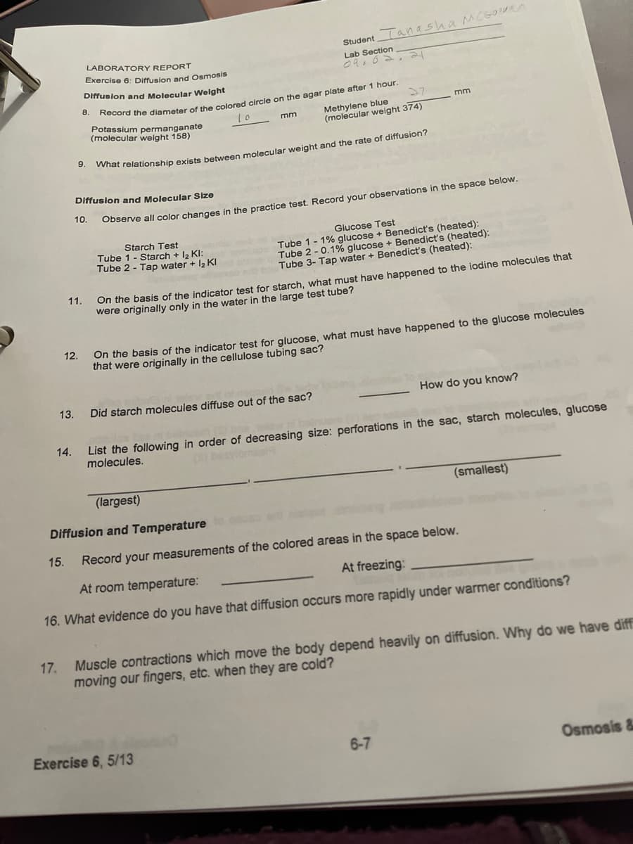 Student anasha McGOen
LABORATORY REPORT
Lab Section
09, 62
Exercise 6: Diffusion and Osmosis
Diffuslon and Molecular Welght
8.
27
mm
Potassium permanganate
(molecular weight 158)
Methylene blue
(molecular weight 374)
mm
9.
Diffusion and Molecular Size
10.
Observe all color changes in the practice test. Record your observations in the space below.
Glucose Test
Starch Test
Tube 1 - Starch + l2 KI:
Tube 2 - Tap water + 12 KI
Tube 1 - 1% glucose + Benedict's (heated):
Tube 2 - 0.1% glucose + Benedict's (heated):
Tube 3- Tap water + Benedict's (heated):
On the basis of the indicator test for starch, what must have happened to the iodine molecules that
were originally only in the water in the large test tube?
11.
On the basis of the indicator test for glucose, what must have happened to the glucose molecules
that were originally in the cellulose tubing sac?
12.
13.
Did starch molecules diffuse out of the sac?
How do you know?
List the following in order of decreasing size: perforations in the sac, starch molecules, glucose
molecules.
14.
(largest)
(smallest)
Diffusion and Temperature
15.
Record your measurements of the colored areas in the space below.
At room temperature:
At freezing:
16. What evidence do you have that diffusion occurs more rapidly under warmer conditions?
Muscle contractions which move the body depend heavily on diffusion. Why do we have diff
moving our fingers, etc. when they are cold?
17.
Exercise 6, 5/13
6-7
Osmosis &
