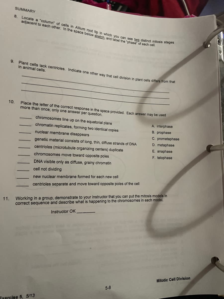 Locate a "column" of cells in Allium root tip in which you can see two distinct mitosis stages
SUMMARY
8.
adjacent to each other. In the space below sketch, and label the "phase" of each cel.
9.
Plant cells lack centrioles. Indicate one other way that cell division in plant cells differs from diat
in animal cells.
10.
Place the letter of the correct response in the space provided. Each answer may be
more than once; only one answer per question.
chromosomes line up on the equatorial plane
A. interphase
chromatin replicates, forming two identical copies
B. prophase
nuclear membrane disappears
C. prometaphase
D. metaphase
genetic material consists of long, thin, diffuse strands of DNA
centrioles (microtubule organizing centers) duplicate
E. anaphase
F. telophase
chromosomes move toward opposite poles
DNA visible only as diffuse, grainy chromatin
cell not dividing
new nuclear membrane formed for each new cell
centrioles separate and move toward opposite poles of the cell
Working in a group, demonstrate to your instructor that you can put the mitosis models in
correct sequence and describe what is happening to the chromosomes in each model.
11.
Instructor OK
Mitotic Cell Division
5-8
Frercise 5, 5/13
