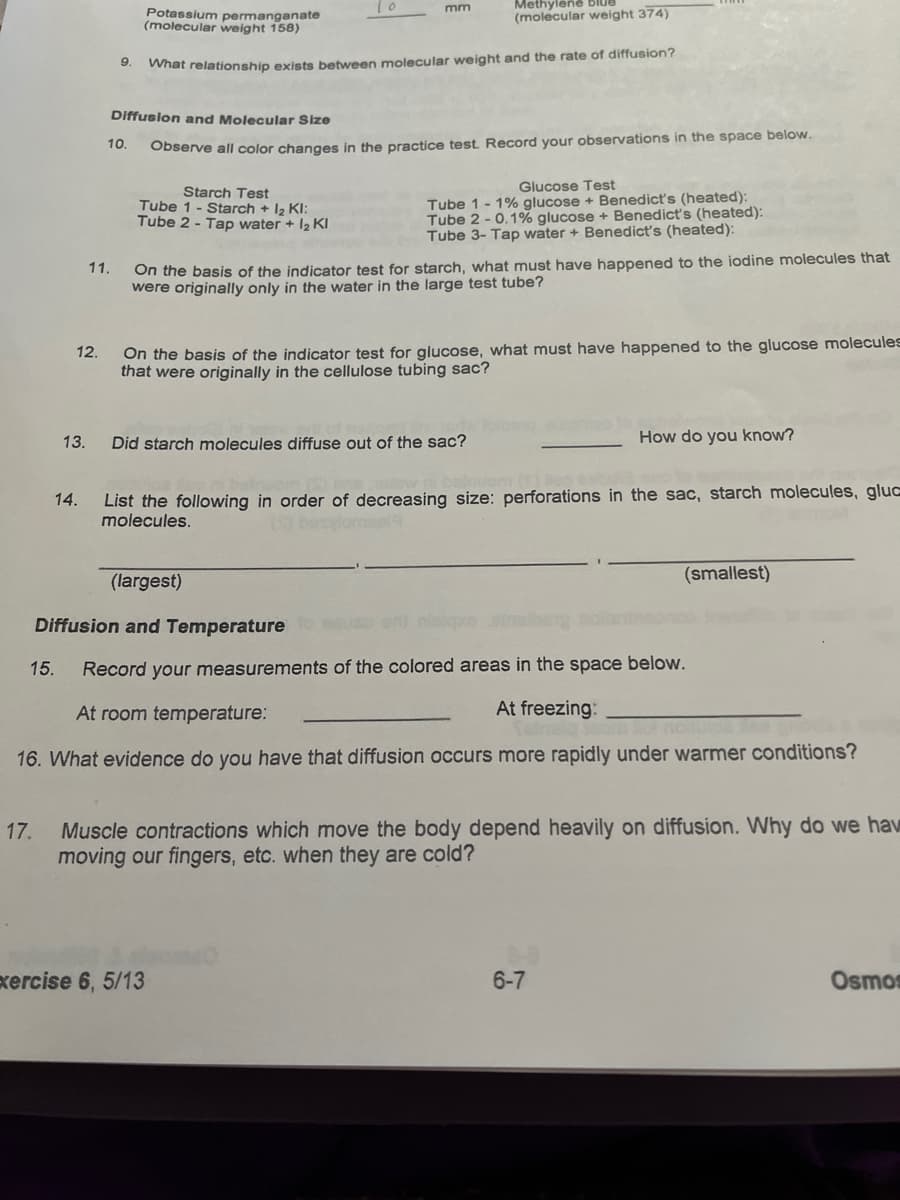 Methylené Blue
(molecular weight 374)
mm
Potassium permanganate
(molecular weight 158)
9.
what relationship exists between molecular weight and the rate of diffusion?
Diffusion and Molecular Size
10.
Observe all color changes in the practice test. Record your observations in the space below.
Starch Test
Tube 1 - Starch + 12 KI:
Tube 2 - Tap water + 12 KI
Glucose Test
Tube 1- 1% glucose + Benedict's (heated):
Tube 2 - 0.1% glucose + Benedict's (heated):
Tube 3- Tap water + Benedict's (heated):
On the basis of the indicator test for starch, what must have happened to the iodine molecules that
were originally only in the water in the large test tube?
11.
On the basis of the indicator test for glucose, what must have happened to the glucose molecules
that were originally in the cellulose tubing sac?
12.
13.
Did starch molecules diffuse out of the sac?
How do you know?
List the following in order of decreasing size: perforations in the sac, starch molecules, gluc
molecules.
14.
(largest)
(smallest)
Diffusion and Temperature
15.
Record your measurements of the colored areas in the space below.
At room temperature:
At freezing:
16. What evidence do you have that diffusion occurs more rapidly under warmer conditions?
Muscle contractions which move the body depend heavily on diffusion. Why do we haw
moving our fingers, etc. when they are cold?
17.
xercise 6, 5/13
6-7
Osmos

