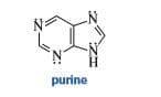 purine
