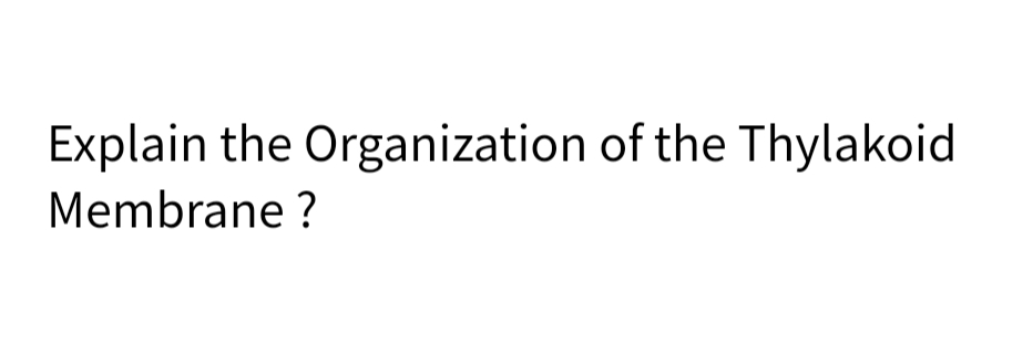 Explain the Organization of the Thylakoid
Membrane ?
