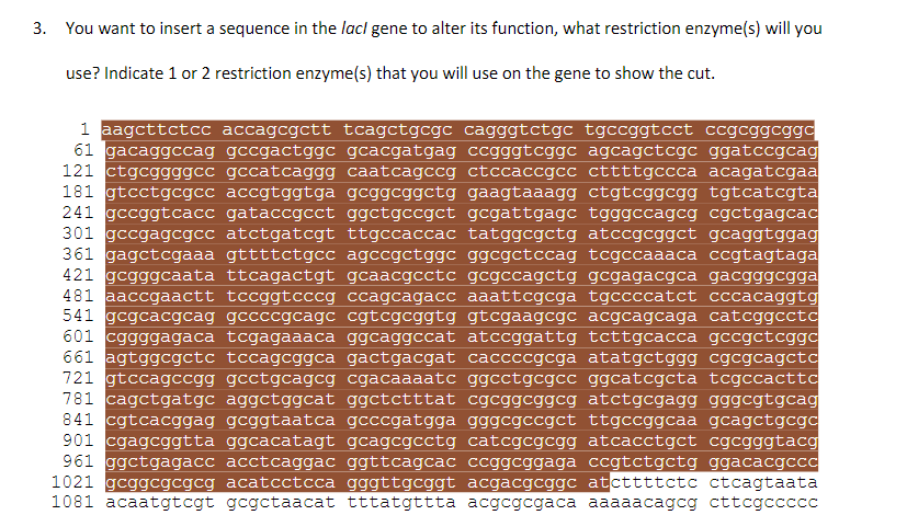 3. You want to insert a sequence in the lacl gene to alter its function, what restriction enzyme(s) will you
use? Indicate 1 or 2 restriction enzyme(s) that you will use on the gene to show the cut.
1 aagcttctcc accagcgctt tcagctgcgc cagggtctgc tgccggtcct ccgcggcggc
61 gacaggccag gccgactggc gcacgatgag ccgggtcggc agcagctcgc ggatccgcag
121 ctgcggggcc gccatcaggg caatcagccg ctccaccgcc cttttgccca acagatcgaa
181 gtcctgcgcc accgtggtga gcggcggctg gaagtaaagg ctgtcggcgg tgtcatcgta
241 gccggtcacc gataccgcct ggctgccgct gcgattgagc tgggccagcg cgctgagcac
301 gccgagcgcc atctgatcgt ttgccaccác tatggcgctg atccgcggct gcaggtggag
361 gagctcgaaa gttttctgcc agccgctggc ggcgctccag tcgccaaaca ccgtagtaga
421 gcgggcaata ttcagactgt gcaacgcctc gcgccagctg gcgagacgca gacgggcgga
481 aaccgaactt tccggtcccg ccagcagacc aaattcgcga tgccccatct cccacaggtg
541 gcgcacgcag gccccgcagc cgtcgcggtg gtcgaagcgc acgcagcaga catcggccto
601 cggggagaca tcgagaaaca ggcaggccat atccggattg tcttgcacca gccgctcggc
661 agtggcgctc tccagcggca gactgacgat caccccgcga atatgctggg cgcgcagctc
721 gtccagccgg gcctgcagcg cgacaaaatc ggcctgcgcc ggcatcgcta tcgccacttc
781 cagctgatgc aggctggcat ggctctttat cgcggcggcg atctgcgagg gggcgtgcag
841 cgtcacggag gcggtaatca gcccgatgga gggcgccgct ttgccggcaa gcagctgcgc
901 cgagcggtta ggcacatagt gcagcgcctg catcgcgcgg atcacctgct cgcgggtacg
961 ggctgagacc acctcaggac ggttcagcac ccggcggaga ccgtctgctg ggacacgcc
1021 gcggcgcgcg acatcctcca gggttgcggt acgacgcggc atcttttctc ctcagtaata
1081 acaatgtcgt gcgctaacat tttatgttta acgcgcgaca aaaaacagcg cttcgccccc
