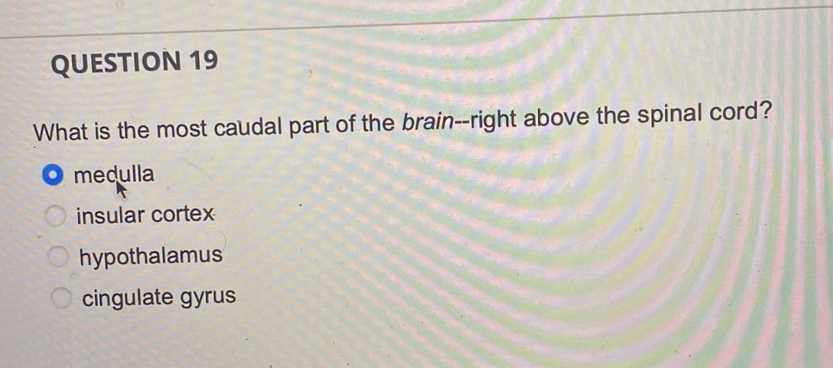 QUESTION 19
What is the most caudal part of the brain-right above the spinal cord?
O medulla
insular cortex
hypothalamus
cingulate gyrus