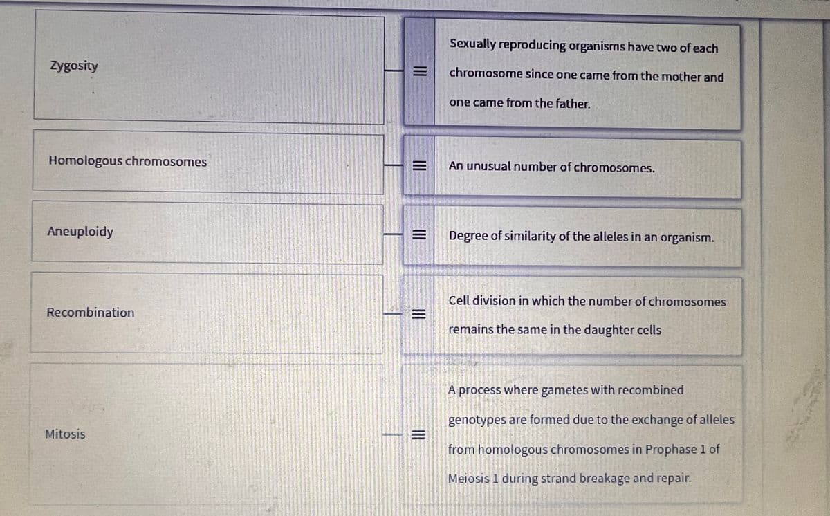 Zygosity
Homologous chromosomes
Aneuploidy
Recombination
Mitosis
860
III
|||
III
|||
|||
Sexually reproducing organisms have two of each
chromosome since one came from the mother and
one came from the father.
An unusual number of chromosomes.
Degree of similarity of the alleles in an organism.
Cell division in which the number of chromosomes
remains the same in the daughter cells
A process where gametes with recombined
PAPER
155
A
genotypes are formed due to the exchange of alleles
MED PR
P
from homologous chromosomes in Prophase 1 of
1645
SE TO
ANNE
Meiosis 1 during strand breakage and repair.
S
CAMER
takmer
LALAATT
DIFER
INES