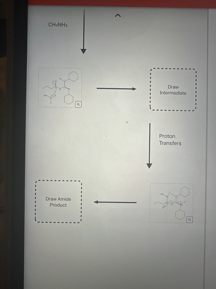 CH3NH3
Draw Amide
Product
Q
Draw
Intermediate
Proton
Transfers
o