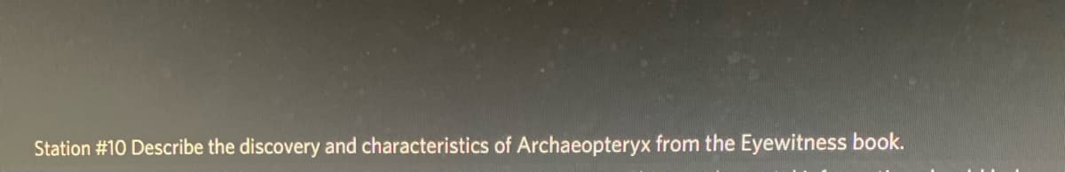 Station #10 Describe the discovery and characteristics of Archaeopteryx from the Eyewitness book.
