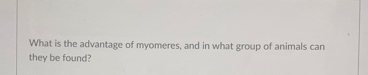 What is the advantage of myomeres, and in what group of animals can
they be found?
