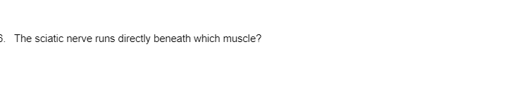 3. The sciatic nerve runs directly beneath which muscle?