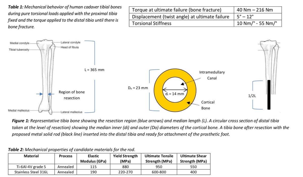 Table 1: Mechanical behavior of human cadaver tibial bones
during pure torsional loads applied with the proximal tibia
fixed and the torque applied to the distal tibia until there is
bone fracture.
Medial condyle
Tibial tuberosity-
Medial malleolus
-Lateral condyle
Head of fibula
Ti-6Al-4V grade 5
Stainless Steel 316L
Region of bone
resection
-Lateral malleolus
L = 365 mm
Annealed
Annealed
Torque at ultimate failure (bone fracture)
Displacement (twist angle) at ultimate failure
Torsional Stiffness
Table 2: Mechanical properties of candidate materials for the rod.
Material
Process
Yield Strength
(MPa)
880
220-270
Do = 23 mm
Elastic
Modulus (GPa)
115
190
d₁ = 14 mm
Figure 1: Representative tibia bone showing the resection region (blue arrows) and median length (L). A circular cross section of distal tibia
taken at the level of resection) showing the median inner (di) and outer (Do) diameters of the cortical bone. A tibia bone after resection with the
proposed metal solid rod (black line) inserted into the distal tibia and ready for attachment of the prosthetic foot.
Intramedullary
Canal
Ultimate Tensile
Strength (MPa)
950
600-800
Cortical
Bone
40 Nm-216 Nm
5° -12°
10 Nm/° - 55 Nm/°
Ultimate Shear
Strength (MPa)
550
400
1/2L