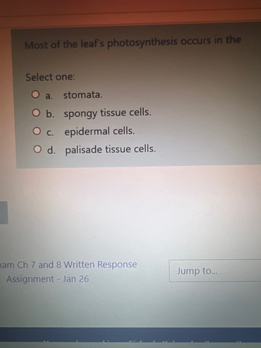 Most of the leaf's photosynthesis occurs in the
Select one:
a.
stomata.
O b. spongy tissue cells.
O c. epidermal cells.
O d. palisade tissue cells.
kam Ch 7 and 8 Written Response
Assignment - Jan 26
Jump to..
