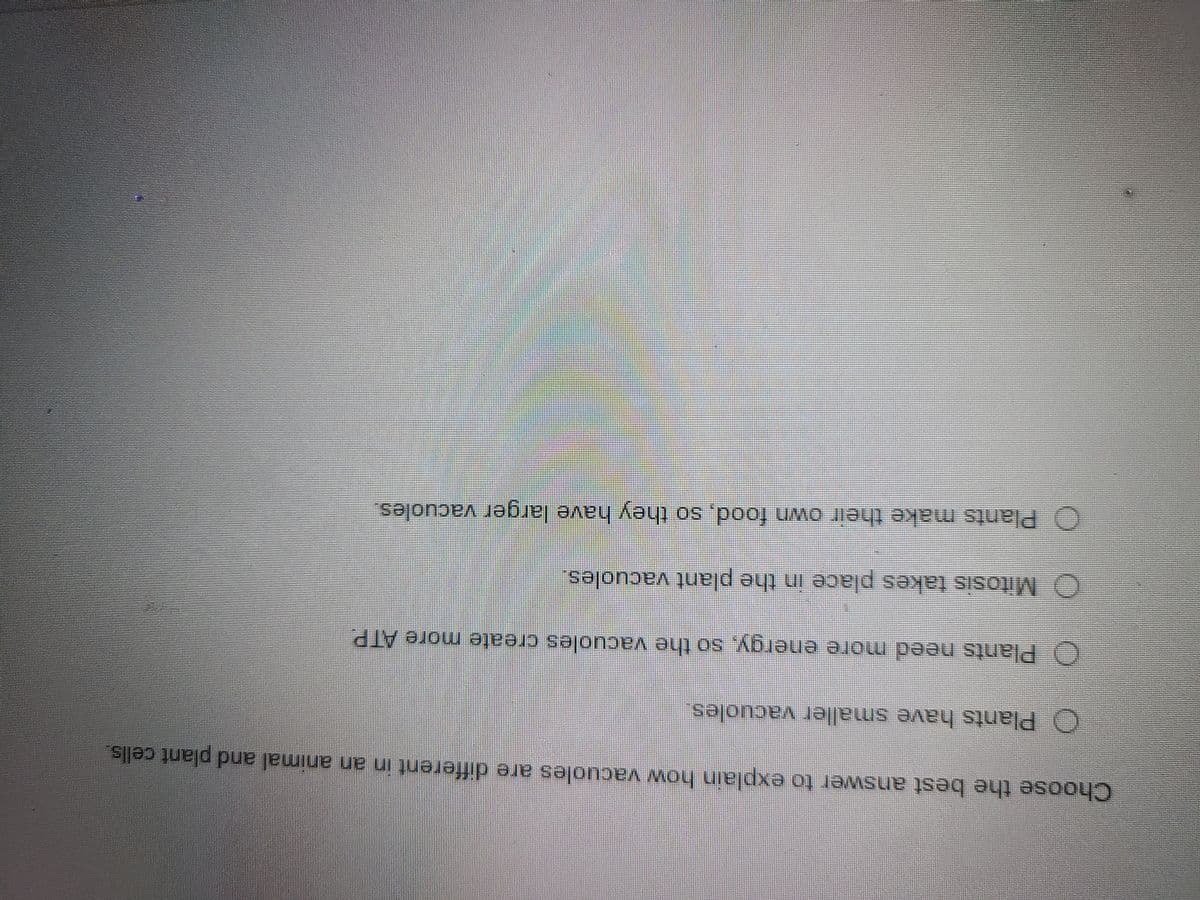 Choose the best answer to explain how vacuoles are different in an animal and plant cells.
O Plants have smaller vacuoles.
O Plants need more energy, so the vacuoles create more ATP
O Mitosis takes place in the plant vacuoles,
Plants make their own food, so they have larger vacuoles.
