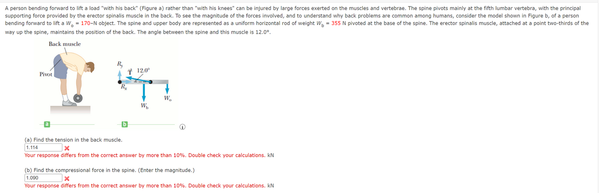 A person bending forward to lift a load "with his back" (Figure a) rather than "with his knees" can be injured by large forces exerted on the muscles and vertebrae. The spine pivots mainly at the fifth lumbar vertebra, with the principal
supporting force provided by the erector spinalis muscle in the back. To see the magnitude of the forces involved, and to understand why back problems are common among humans, consider the model shown in Figure b, of a person
bending forward to lift a W 170-N object. The spine and upper body are represented as a uniform horizontal rod of weight W = 355 N pivoted at the base of the spine. The erector spinalis muscle, attached at a point two-thirds of the
way up the spine, maintains the position of the back. The angle between the spine and this muscle is 12.0°.
Back muscle
Pivot
=
a
R₂
T 12.0°
Rx
Wb
Wo
(i)
(a) Find the tension in the back muscle.
1.114
Your response differs from the correct answer by more than 10%. Double check your calculations. kN
(b) Find the compressional force in the spine. (Enter the magnitude.)
1.090
Your response differs from the correct answer by more than 10%. Double check your calculations. kN