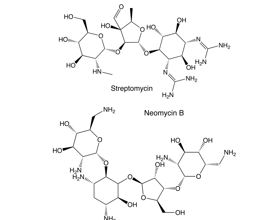 НО-
ОН
HO
HOll.
HO.
...N
-NH2
H2N
OH
НО
HN:
-NH2
Streptomycin
H2N
NH2
Neomycin B
HO,
НО
OH
Но
NH2
H2N
ОН
H,N
ОН
HO-
NH.
