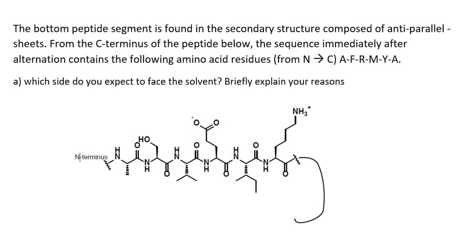 The bottom peptide segment is found in the secondary structure composed of anti-parallel -
sheets. From the C-terminus of the peptide below, the sequence immediately after
alternation contains the following amino acid residues (from N → C) A-F-R-M-Y-A.
a) which side do you expect to face the solvent? Briefly explain your reasons
NH,
но
Nterminus
