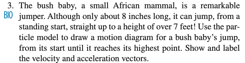 3. The bush baby, a small African mammal, is a remarkable
BIO jumper. Although only about 8 inches long, it can jump, from a
standing start, straight up to a height of over 7 feet! Use the par-
ticle model to draw a motion diagram for a bush baby's jump,
from its start until it reaches its highest point. Show and label
the velocity and acceleration vectors.