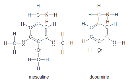 H
H-C-N-H
Н—С—N—Н
H-
-H
H-
-ċ-H
H-
0-H
:Ó:
H-Ó:
H
H-C-H
mescaline
dopamine
HI
エー0ーエ
:O:
エーOーエ
