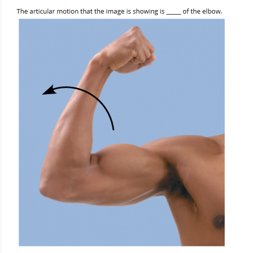 The articular motion that the image is showing is of the elbow.
