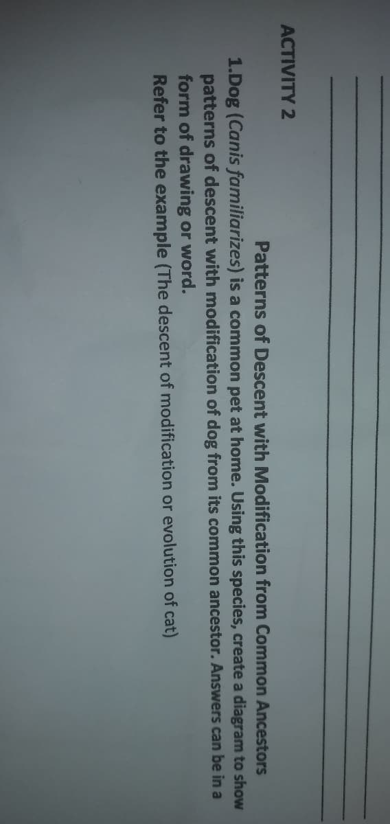 ACTIVITY 2
Patterns of Descent with Modification from Common Ancestors
1.Dog (Canis familiarizes) is a common pet at home. Using this species, create a diagram to show
patterns of descent with modification of dog from its common ancestor. Answers can be in a
form of drawing or word.
Refer to the example (The descent of modification or evolution of cat)
