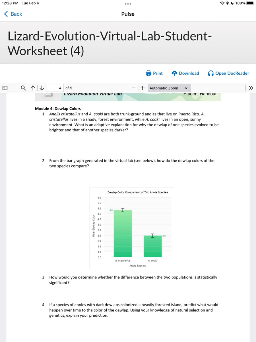 12:28 PM Tue Feb 6
Back
Lizard-Evolution-Virtual-Lab-Student-
Worksheet (4)
Q↑↓
4 of 5
Lizara Evolution virtual Lap
Mean Dewlap Color
6.0
5.5
5.0
4.5
Pulse
4.0
Module 4: Dewlap Colors
1. Anolis cristatellus and A. cooki are both trunk-ground anoles that live on Puerto Rico. A.
cristatellus lives in a shady, forest environment, while A. cooki lives in an open, sunny
environment. What is an adaptive explanation for why the dewlap of one species evolved to be
brighter and that of another species darker?
2. From the bar graph generated in the virtual lab (see below), how do the dewlap colors of the
two species compare?
3.5
3.0
2.5
2.0
1.5
1.0
0.0
Print
- + Automatic Zoom
48 I
Dewlap Color Comparison of Two Anole Species
A. cristatellus
Anole Species
Download
I 25
A. cooki
Student Hangout
Open DocReader
3. How would you determine whether the difference between the two populations is statistically
significant?
@ 100%
4. If a species of anoles with dark dewlaps colonized a heavily forested island, predict what would
happen over time to the color of the dewlap. Using your knowledge of natural selection and
genetics, explain your prediction.
»