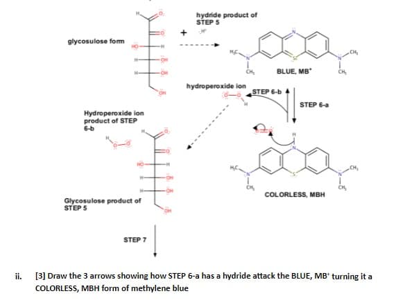 hydride product of
STEP 5
glycosulose fom
BLUE, MB*
CH,
hydroperoxide ion
STEP 6-b
STEP 6-a
Hydroperoxide ion
product of STEP
6-b
CH,
COLORLESS, MBH
Glycosulose product of
STEP 5
STEP 7
i.
[3] Draw the 3 arrows showing how STEP 6-a has a hydride attack the BLUE, MB* turning it a
COLORLESS, MBH form of methylene blue
