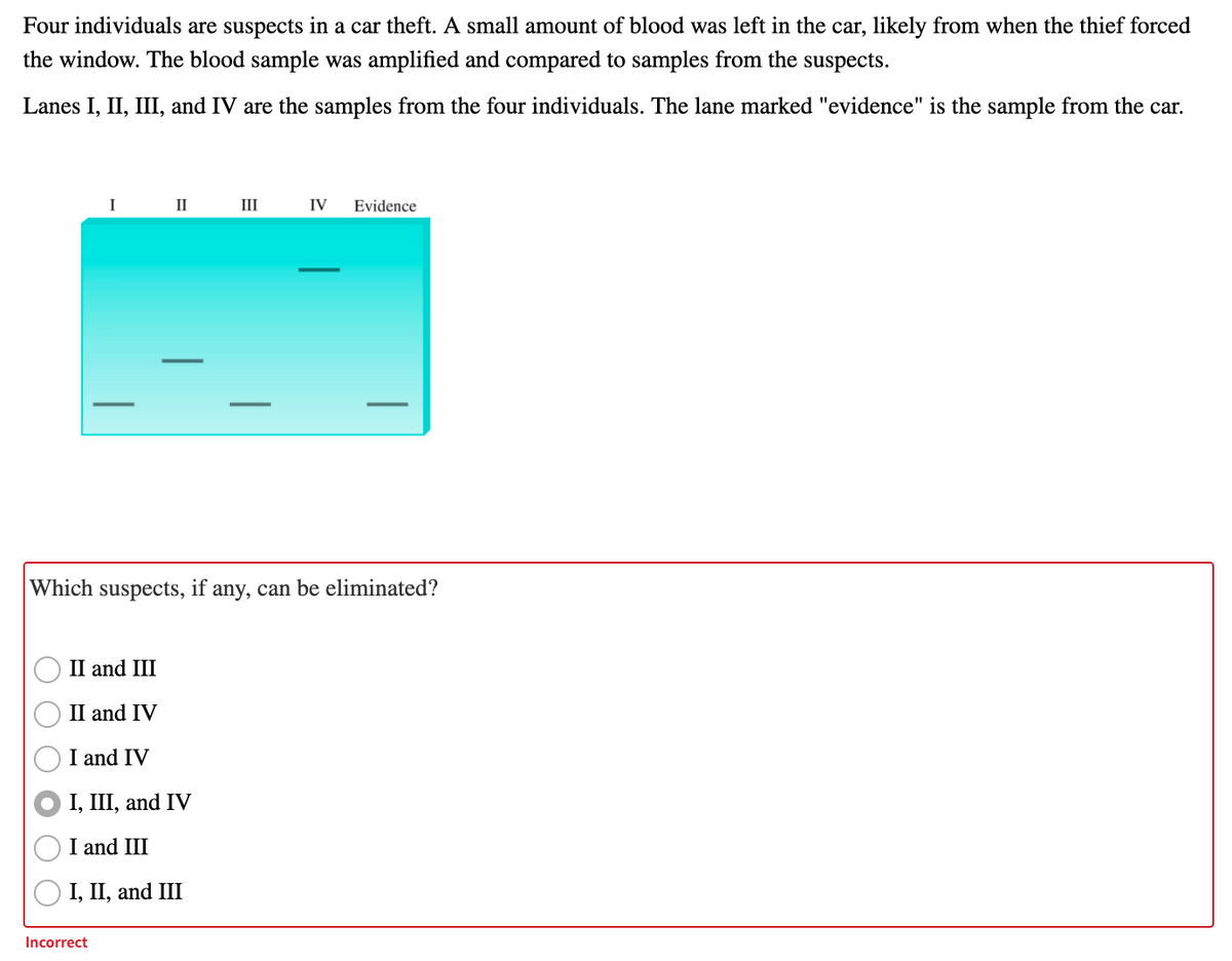 Four individuals are suspects in a car theft. A small amount of blood was left in the car, likely from when the thief forced
the window. The blood sample was amplified and compared to samples from the suspects.
Lanes I, II, III, and IV are the samples from the four individuals. The lane marked "evidence" is the sample from the car.
I
II
III
IV
Evidence
-
Which suspects, if any, can be eliminated?
II and III
II and IV
I and IV
I, III, and IV
I and III
I, II, and III
Incorrect
