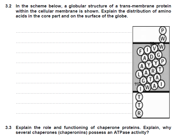 3.2 In the scheme below, a globular structure of a trans-membrane protein
within the cellular membrane is shown. Explain the distribution of amino
acids in the core part and on the surface of the globe.
FOON
ADG
VYP
LART
GOA
WAO
110
R
3.3 Explain the role and functioning of chaperone proteins. Explain, why
several chaperones (chaperonins) possess an ATPase activity?