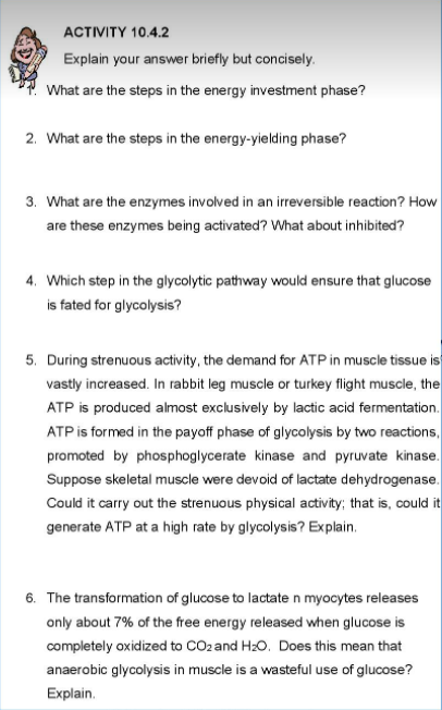 ACTIVITY 10.4.2
Explain your answer briefly but concisely.
What are the steps in the energy investment phase?
2. What are the steps in the energy-yielding phase?
3. What are the enzymes involved in an irreversible reaction? How
are these enzymes being activated? What about inhibited?
4. Which step in the glycolytic pathway would ensure that glucose
is fated for glycolysis?
5. During strenuous activity, the demand for ATP in muscle tissue is
vastly increased. In rabbit leg muscle or turkey flight muscle, the
ATP is produced almost exclusively by lactic acid fermentation.
ATP is formed in the payoff phase of glycolysis by two reactions,
promoted by phosphoglycerate kinase and pyruvate kinase.
Suppose skeletal muscle were devoid of lactate dehydrogenase.
Could it carry out the strenuous physical activity; that is, could it
generate ATP at a high rate by glycolysis? Explain.
6. The transformation of glucose to lactate n myocytes releases
only about 7% of the free energy released when glucose is
completely oxidized to CO2 and Hz0O. Does this mean that
anaerobic glycolysis in muscle is a wasteful use of glucose?
Explain.
