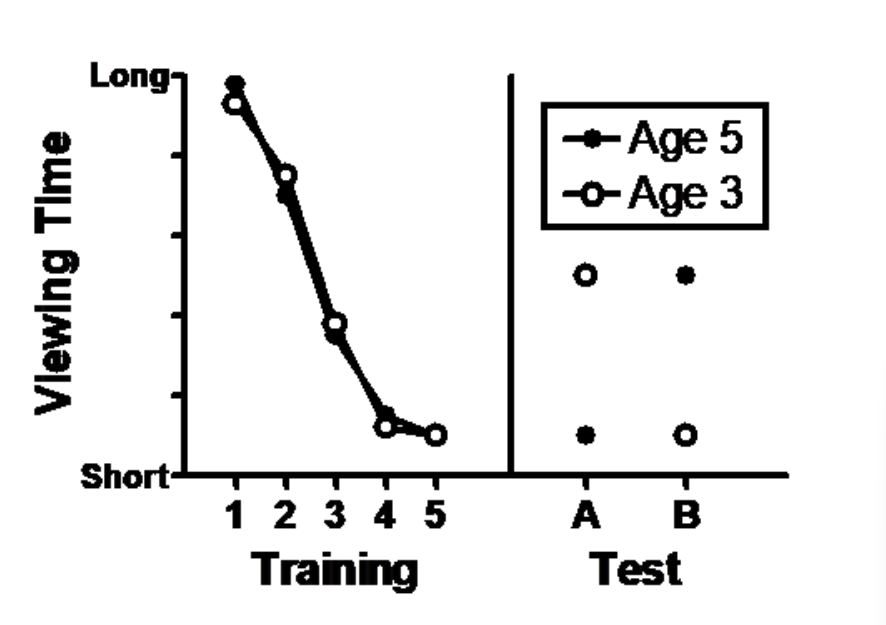 Viewing Time
Long
Short-
1 2 3 4 5
Training
-Age 5
-o-Age 3
O
A B
Test